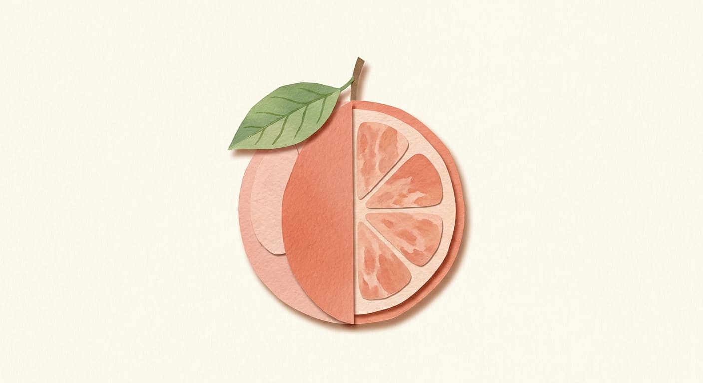 Paper-cut illustration: a grapefruit