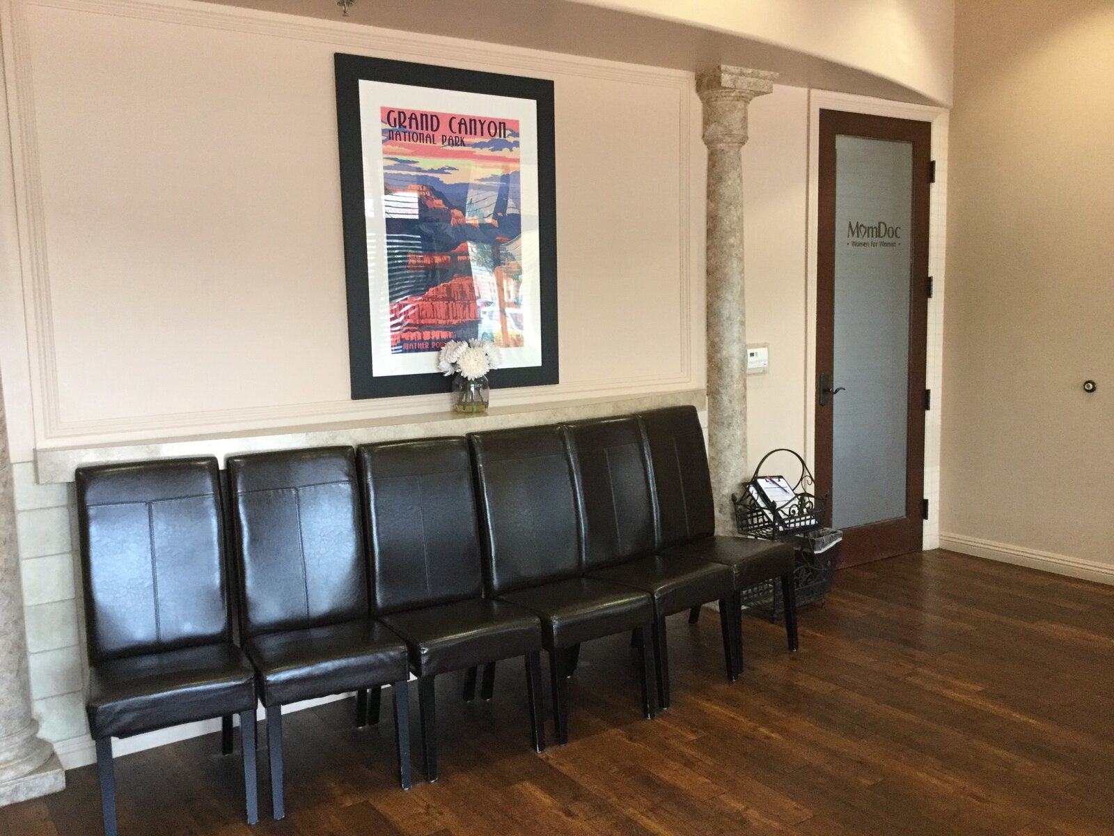 MomDoc Women for Women Power living-room with black leather chairs and Grand Canyon poster